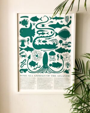 Ocean Creatures Poster