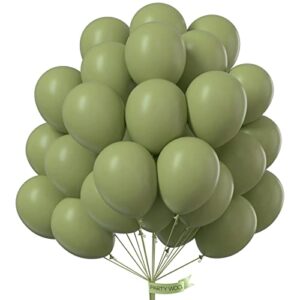 partywoo-retro-green-balloons-100-pcs-10-inch-sage-green-balloons-green-balloons-for-balloon-garland-arch-as-party-decorations-birthday-decorations-wedding-decorations-baby-shower-decorations