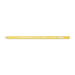 Premium Colored Pencil - Citrus