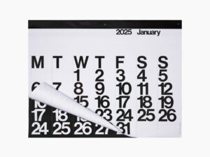 Vintage 2025 Wall Calendar
