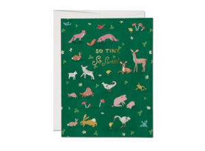 tiny-animals