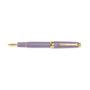 professional slim fountain pen medium fine