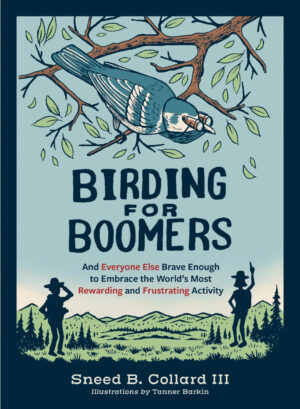 Bird Watching Guide for Beginners