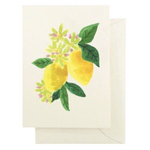 Tart Citrus Note Cards