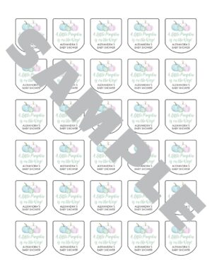 Multicolor Baby Shower Sanitizer Favor Labels Set of 30