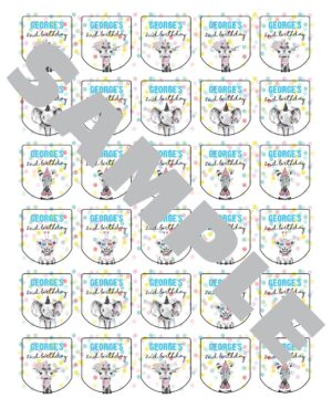Birthday Party Favor Labels Set of 30