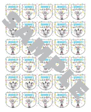 Birthday Party Sanitizer Labels Set of 30
