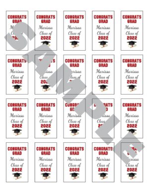 graduation sanitizer labels set of 20