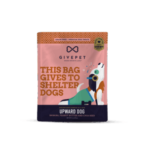 dog soft chewy trainers