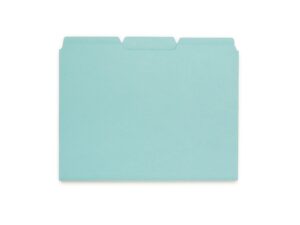 Document storage organizers